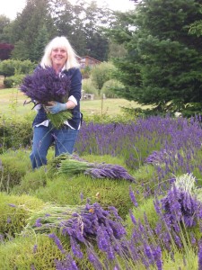 the 2008 harvest season