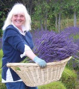Susan with a basket of fresh lavender