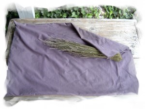 removing dried lavender from stems