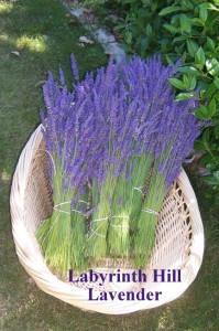 lavender basket