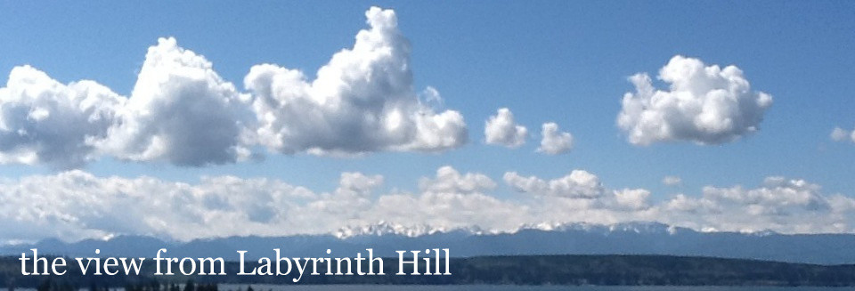 Labyrinth Hill